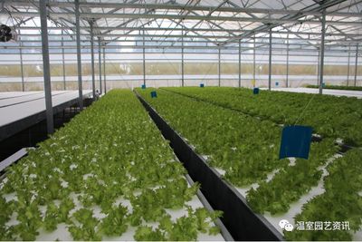 探秘京东植物工厂 产销一体化如何破解农产品销售难题