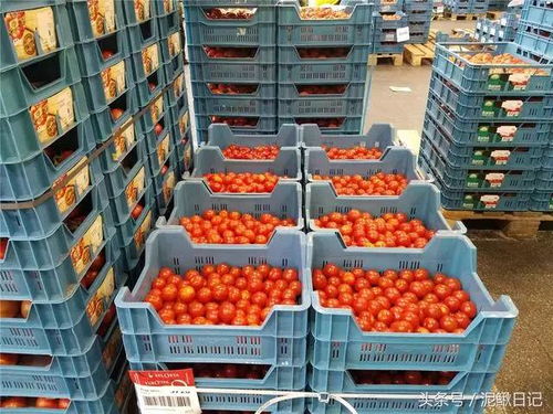 比利时农产品运营奇葩 颠覆传统销售模式令养殖户如梦初醒