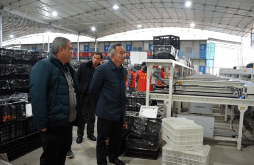 县领导深入葡萄镇调研农产品销售情况 助力乡村振兴产业升级