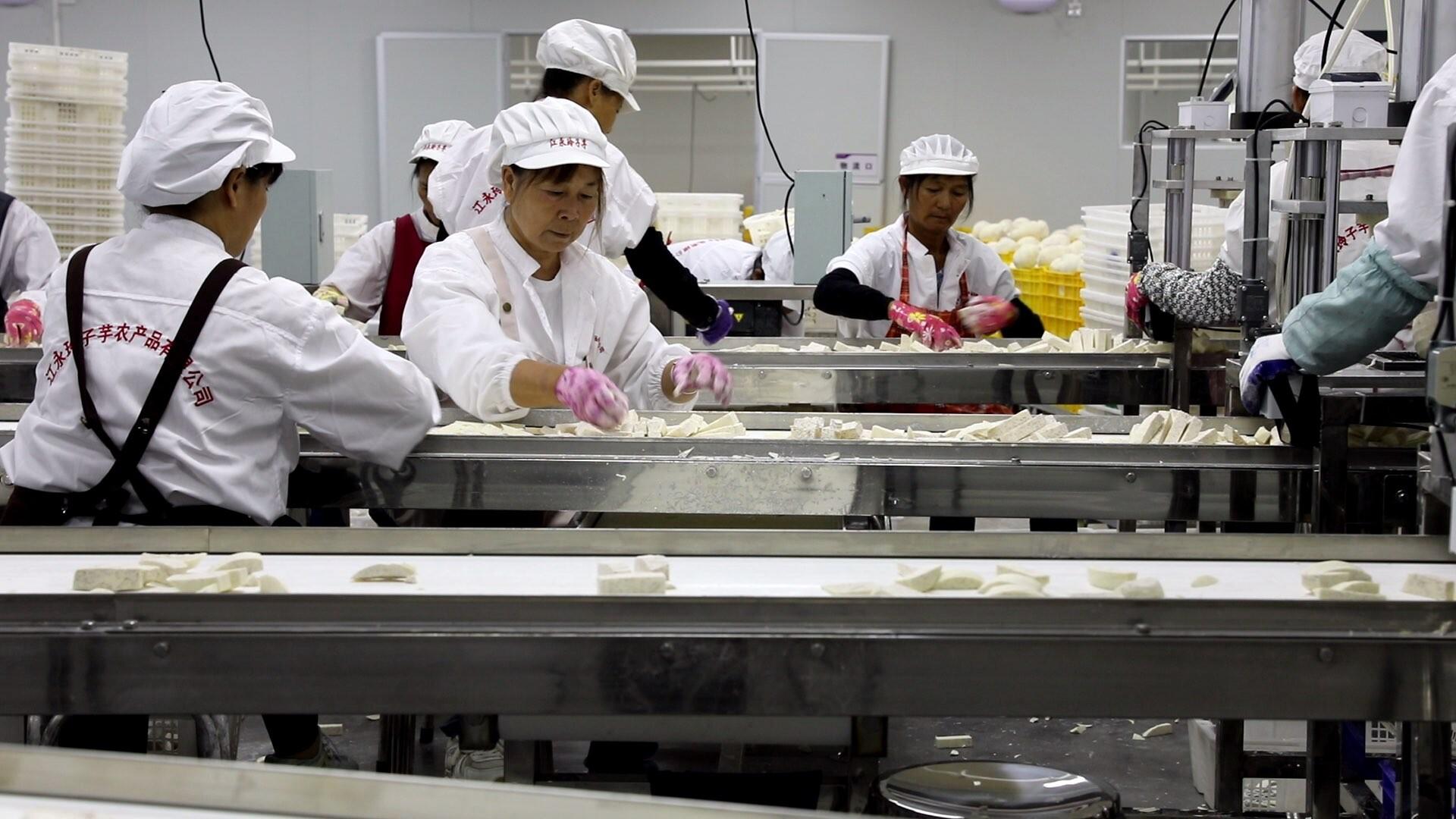 江永香芋产业再添新引擎——“玲子芋”引领农产品销售新突破