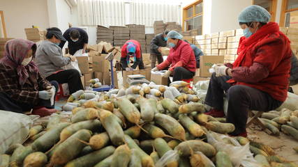 莱阳市主动作为齐发力，搭起助农“连心桥”拓宽农产品销路