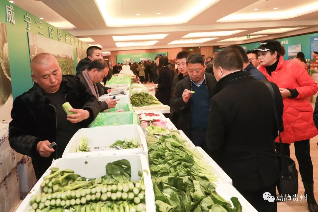 签下3.9亿大订单！毕节绿色农产品“走俏”北京市场