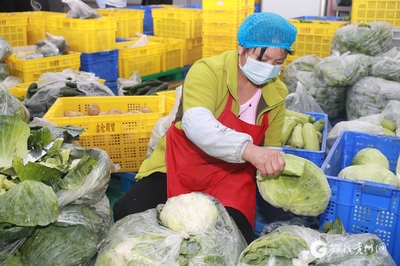 智慧对接，畅通销路 遵义汇川区农产品销售迈入数字化新篇章