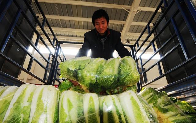 农产品拍卖 破解销售难题的新引擎与时代趋势