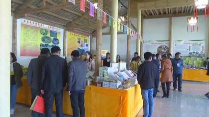 大理这两个地方特色产业发展稳，群众钱袋鼓起快！